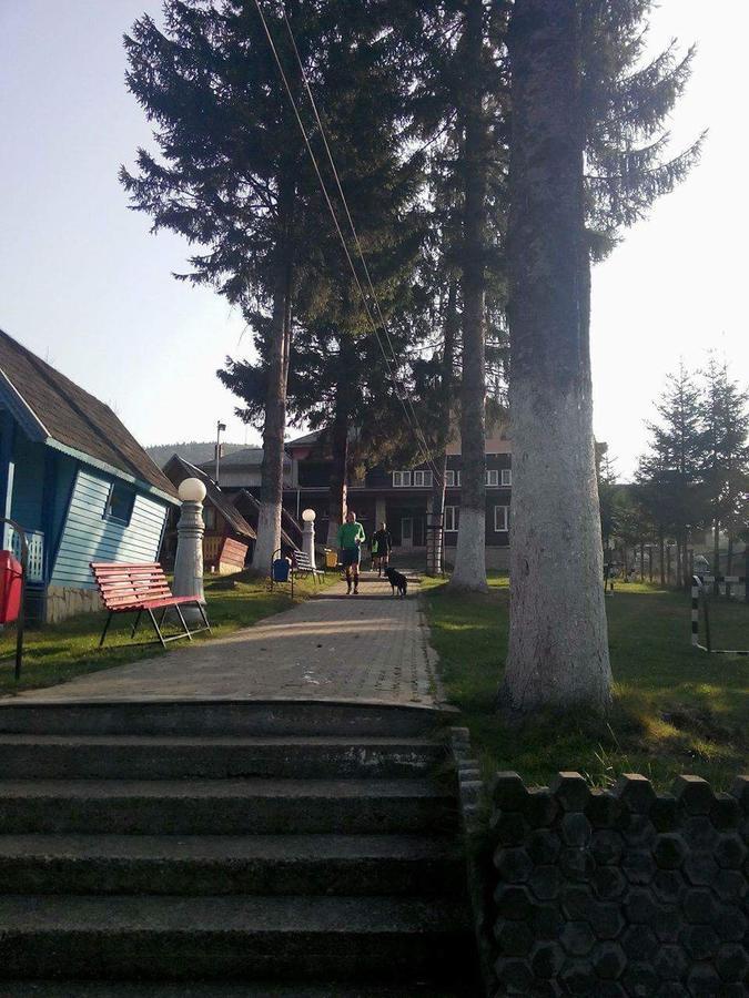 Vila Bratocea Cheia  Εξωτερικό φωτογραφία