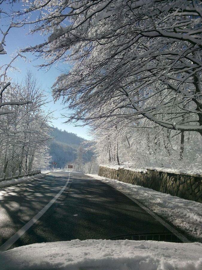 Vila Bratocea Cheia  Εξωτερικό φωτογραφία